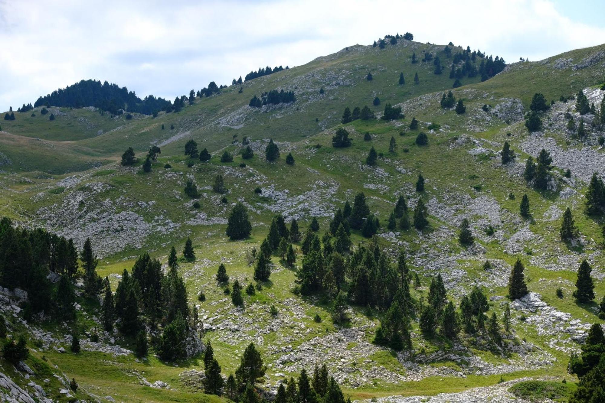Gite Des Rosiers Lans-en-Vercors Exterior foto